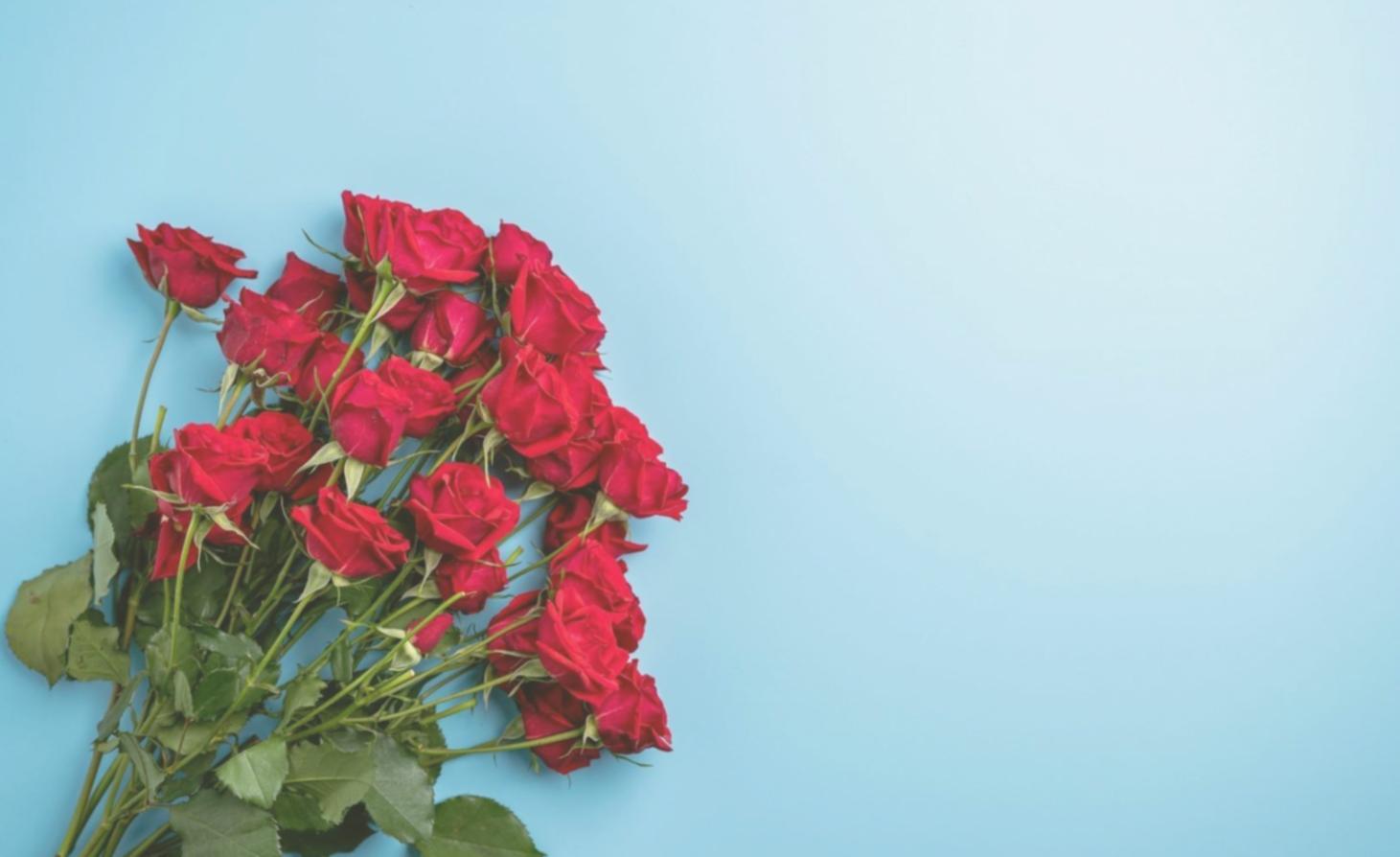 Team collaborating on project discovery and planning